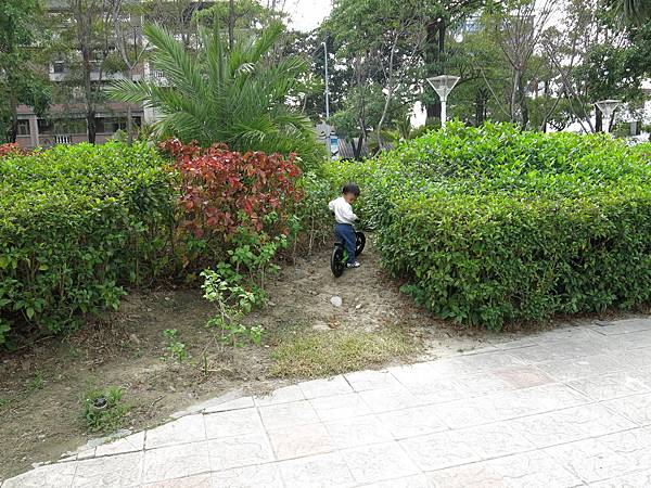 IMG_1371.jpg IMG_1371.jpg