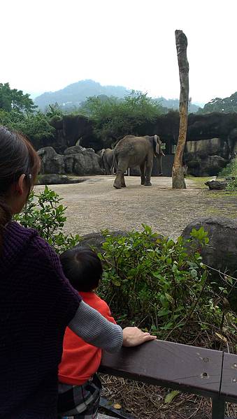 20140206_17.jpg 20140206_17.jpg