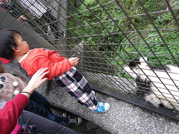 20140206_18.jpg 20140206_18.jpg