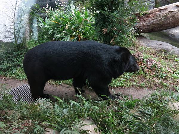 20140206_23.jpg 20140206_23.jpg