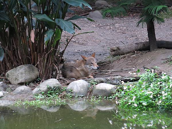 20140206_26.jpg 20140206_26.jpg