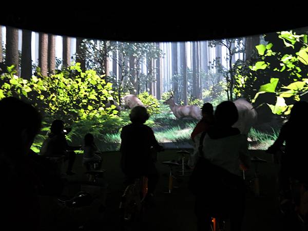 20140207_25.jpg 20140207_25.jpg