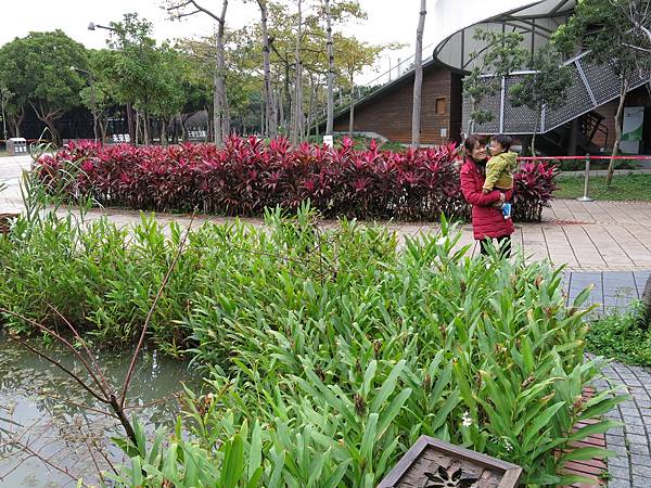 20140207_33.jpg 20140207_33.jpg