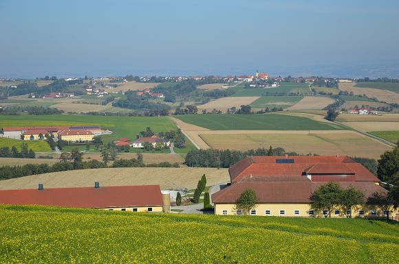 DSC_0360.jpg DSC_0360.jpg