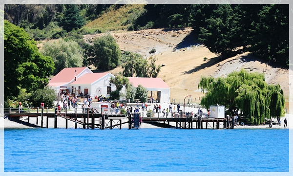 蒸汽船 - 華特牧場 蒸汽船 - 華特牧場