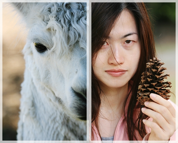 瓦爾特牧場2 瓦爾特牧場2