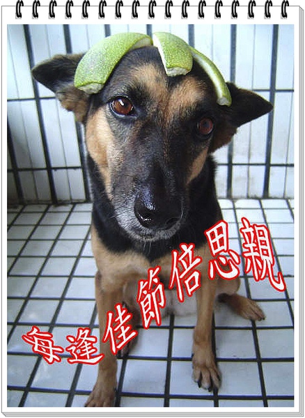 每逢佳節倍思親.jpg 每逢佳節倍思親.jpg
