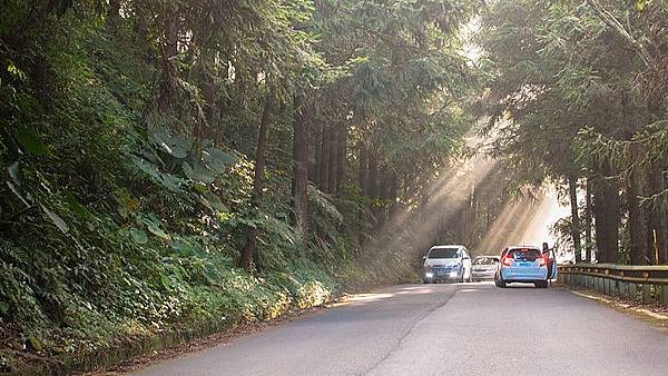 nEO_IMG_DSC_8128.jpg nEO_IMG_DSC_8128.jpg