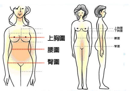 三围怎么量才对? @ Sugar Free小美人: 痞客邦