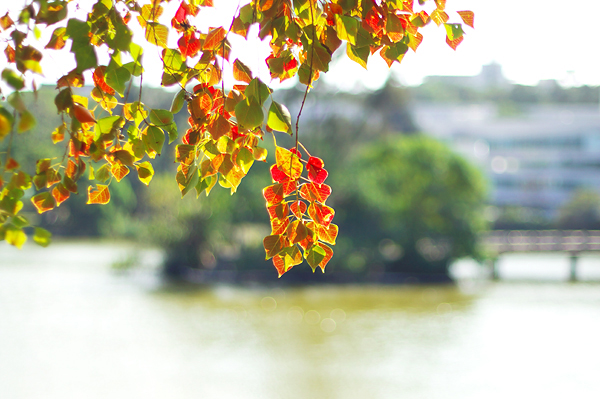 DSC00359_v2.jpg DSC00359_v2.jpg