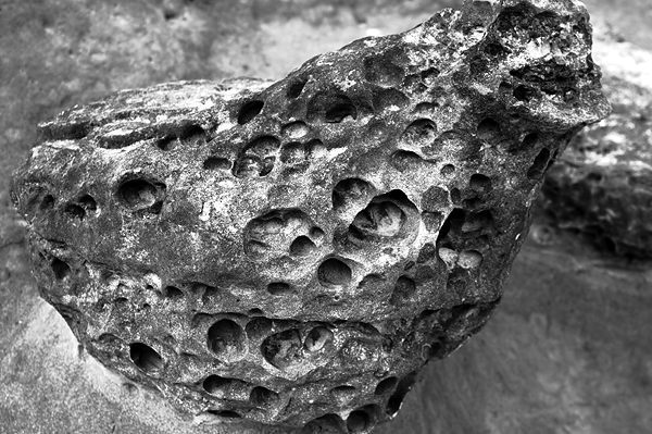 DSC04101.JPG DSC04101.JPG