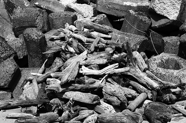 DSC04104.JPG DSC04104.JPG