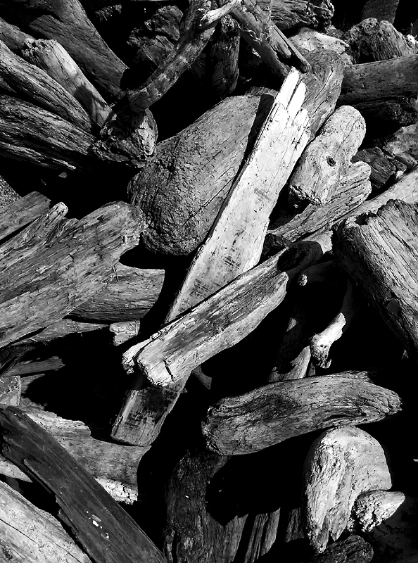 IMAG0407_1s.jpg IMAG0407_1s.jpg