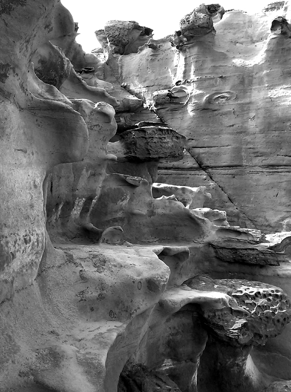 IMAG0395_1s.jpg IMAG0395_1s.jpg