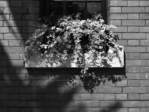 P5094209.jpg P5094209.jpg