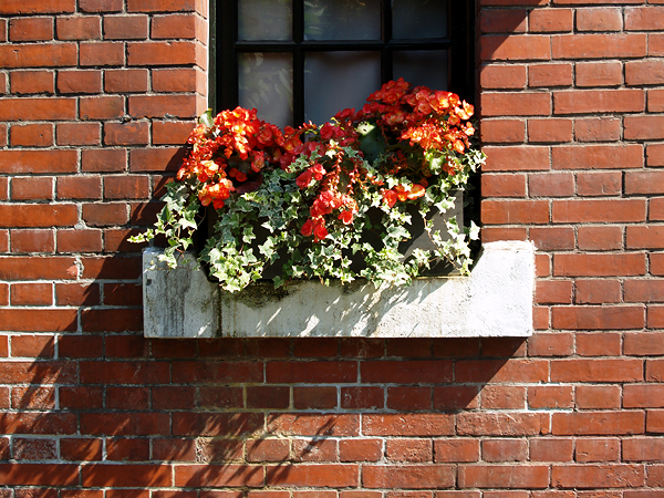 P5094200.jpg P5094200.jpg