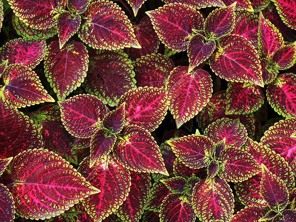 P5094166.jpg P5094166.jpg