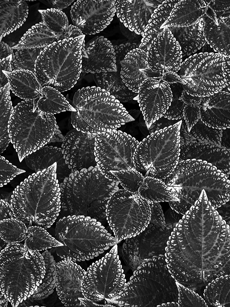 P5094170.jpg P5094170.jpg