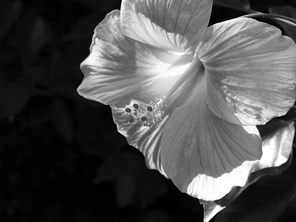 P5094177.jpg P5094177.jpg