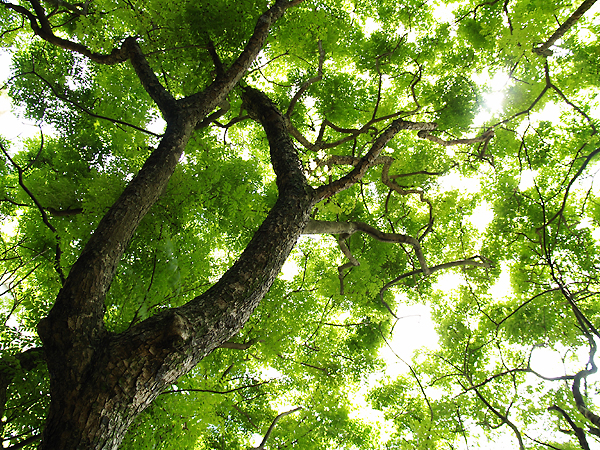 P4184109.jpg P4184109.jpg