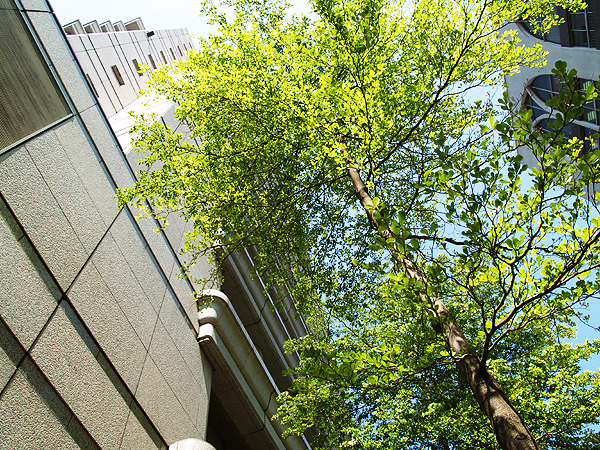 P5094150.jpg P5094150.jpg