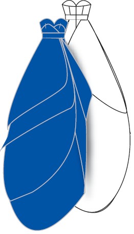 leanne-marshall-09fw leanne-marshall-09fw