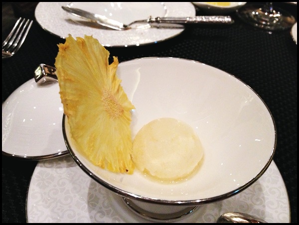 IMG_7432.JPG IMG_7432.JPG