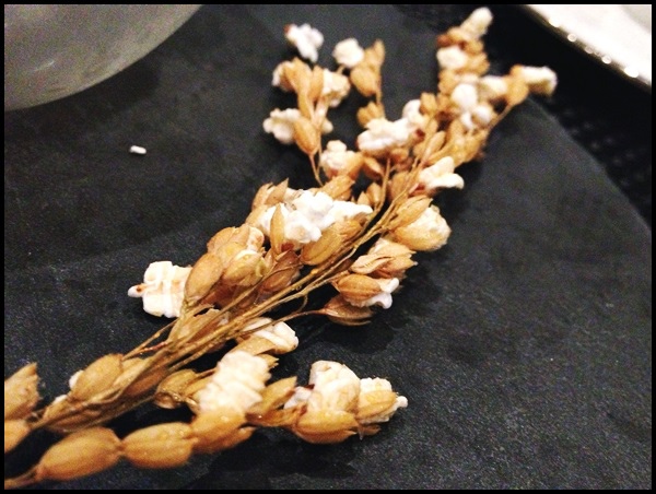 IMG_7445.JPG IMG_7445.JPG