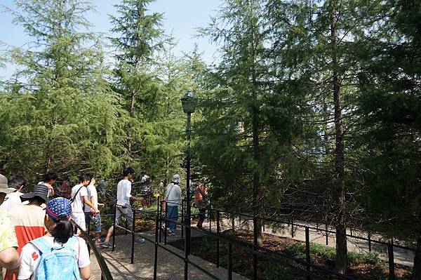 IMG_3855.JPG IMG_3855.JPG