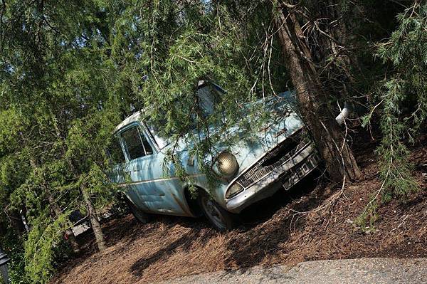 IMG_3860.JPG IMG_3860.JPG