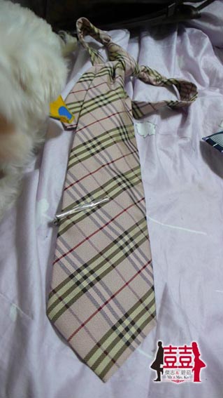 P1120026.jpg P1120026.jpg