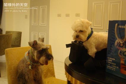 DSC05143.jpg DSC05143.jpg