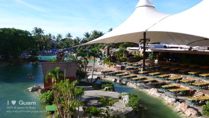 P1130478.jpg P1130478.jpg