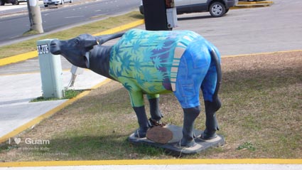 P1130916.jpg P1130916.jpg