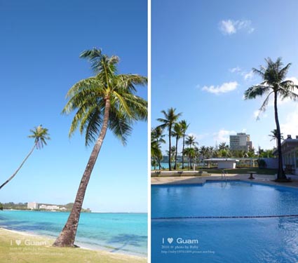 P1130821 copy.jpg P1130821 copy.jpg