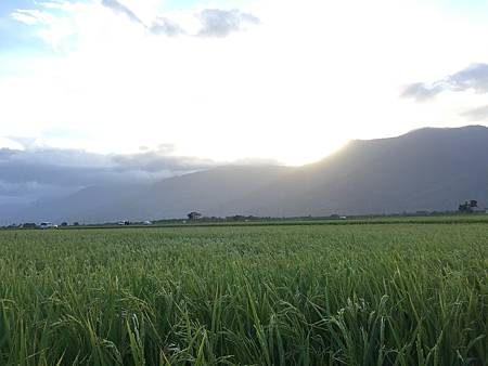 IMG_7858.JPG IMG_7858.JPG