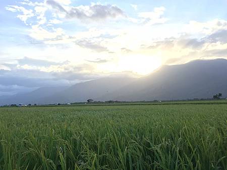 IMG_7859.JPG IMG_7859.JPG