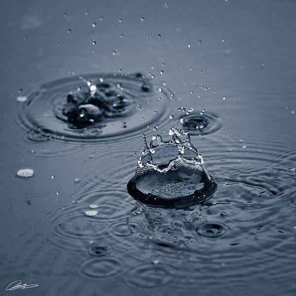 380831_305329699478118_100000032713340_1307758_1364333988_n