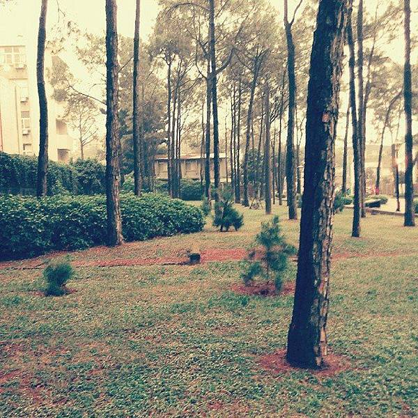 10710706_789161381122156_8462493131013758587_n