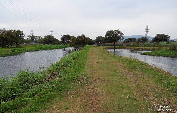 2014-12-13-板橋-06-溼地