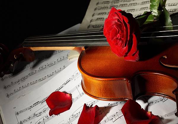 international-violin-festival-5 international-violin-festival-5