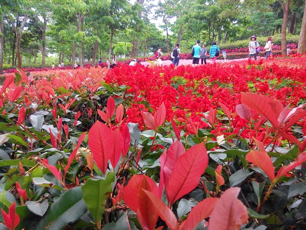 2015/05/03 苗栗一日遊-02 IMG_20150503_115615