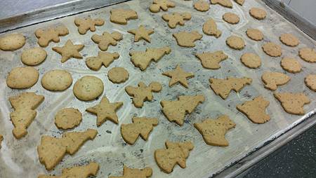 WP_20131219_002 WP_20131219_002