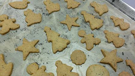 WP_20131219_004 WP_20131219_004