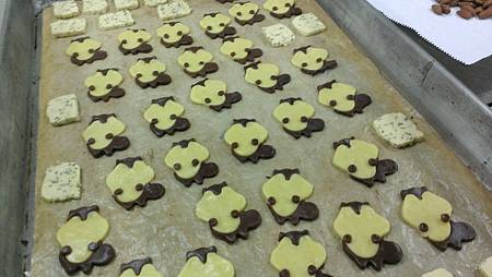 WP_20140605_003.jpg WP_20140605_003.jpg