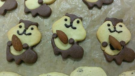 WP_20140605_011.jpg WP_20140605_011.jpg