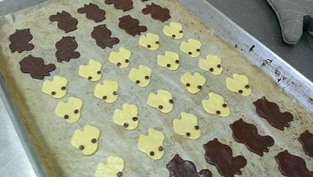 WP_20140529_008.jpg WP_20140529_008.jpg