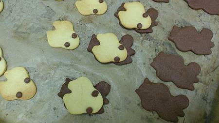 WP_20140529_011.jpg WP_20140529_011.jpg