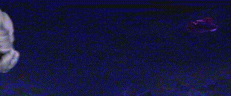 tumblr_inline_mzv0sm5wI51qzt5a5