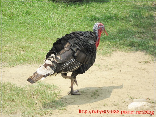 IMG_6541.JPG IMG_6541.JPG